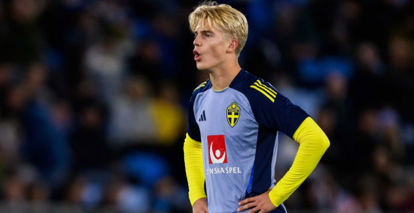 或许是由于 或许是由于