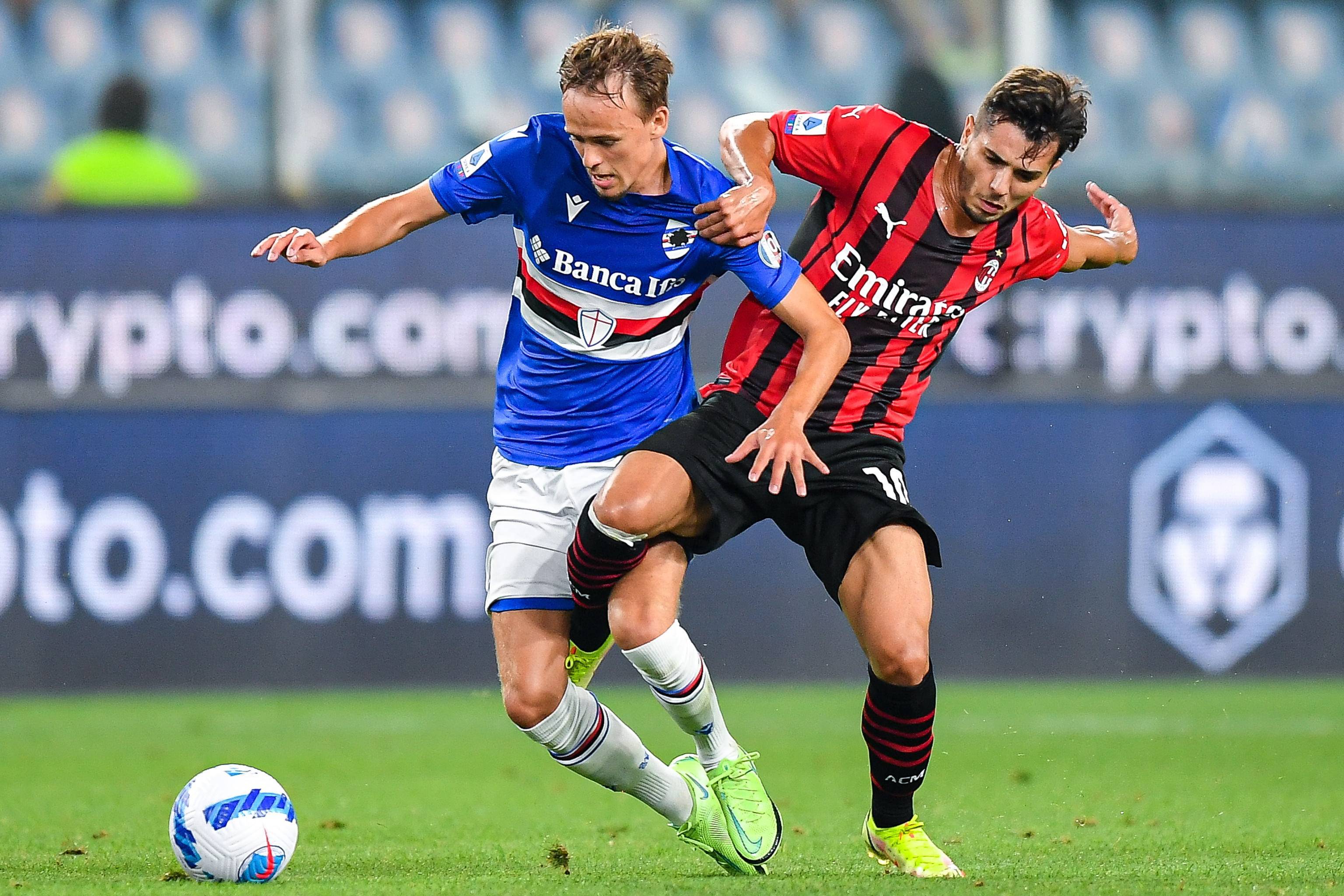 然而晚旗报 然而晚旗报